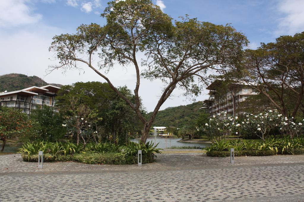 Unit 507 Pico De Loro Διαμέρισμα Nasugbu Εξωτερικό φωτογραφία